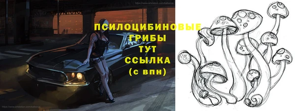 ПСИЛОЦИБИНОВЫЕ ГРИБЫ Верхнеуральск