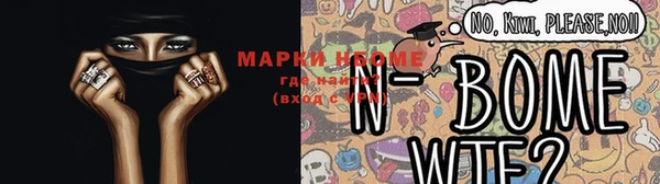 индика Бронницы