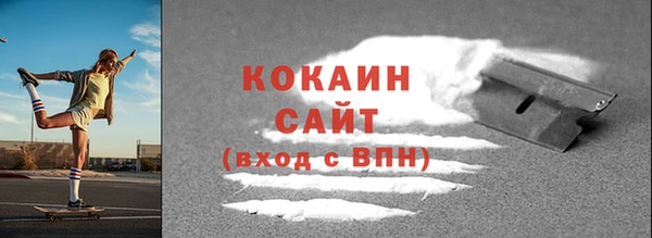 сатива Бородино