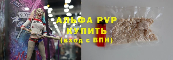 индика Бронницы