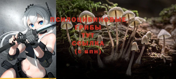 ПСИЛОЦИБИНОВЫЕ ГРИБЫ Верхнеуральск
