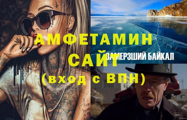 сатива Бородино