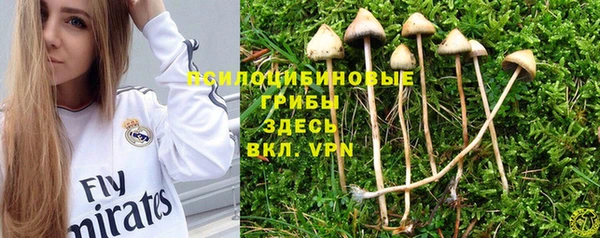 твердый Верхний Тагил