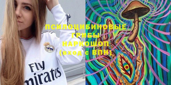 ПСИЛОЦИБИНОВЫЕ ГРИБЫ Верхнеуральск