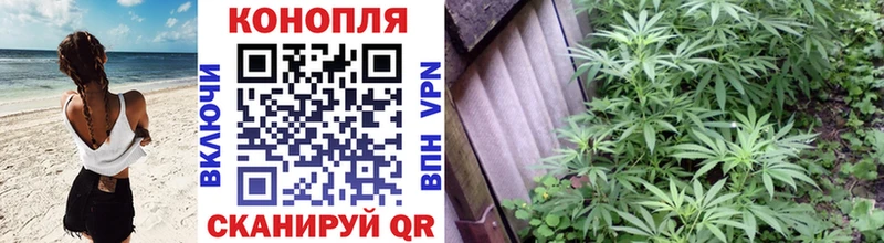 Каннабис сатива  Купить закладки  Дятьково 